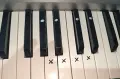 Korg Pa50 SD ( Корг Па50 СД ), снимка 2