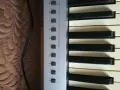 Миди Клавиатура M-Audio Evolutiom MK361C, снимка 5