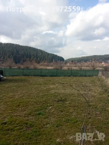 дървена къща на кокили, снимка 3 - Къщи - 56667518