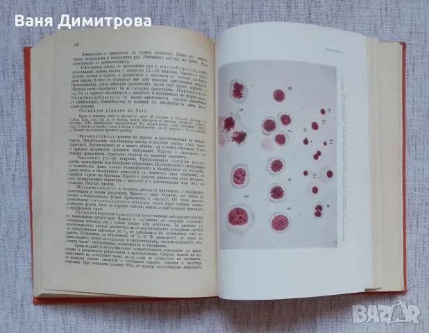 Пропедевтика на вътрешните болести, снимка 4 - Специализирана литература - 56646113