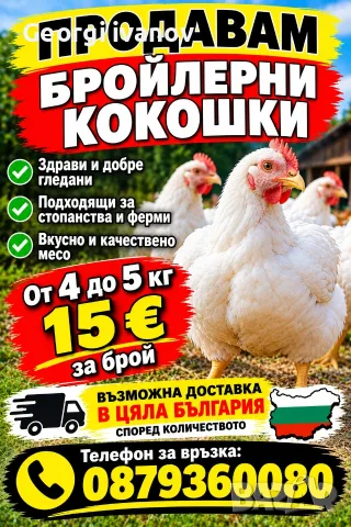Броилерни кокошки