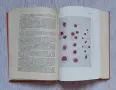 Пропедевтика на вътрешните болести, снимка 4