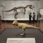 Джурасик парк и животни schleich , снимка 2