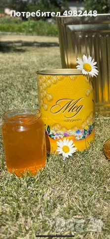 Натурален пчелен мед , снимка 2 - Пчелни продукти - 56552292