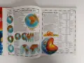ЛОТ Илюстровани атласи, снимка 9