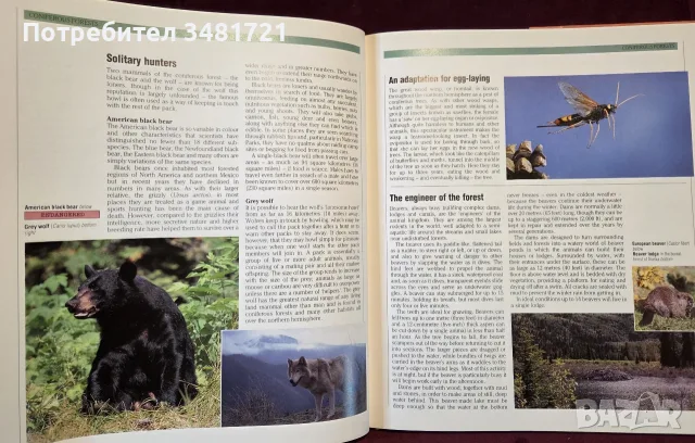 The Encyclopedia of World Wildlife, снимка 7 - Енциклопедии, справочници - 56715705