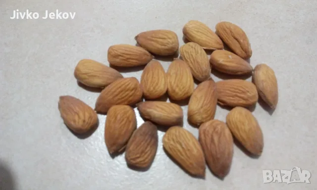 Бадеми реколта 2026г., снимка 2 - Домашни продукти - 56717022