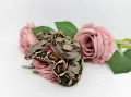 Boa constrictor imperator /Боа удушвач, снимка 3