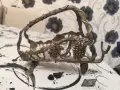 За всекиго по нещо , снимка 2