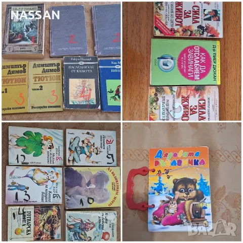 Лот от книги от различни жанрове