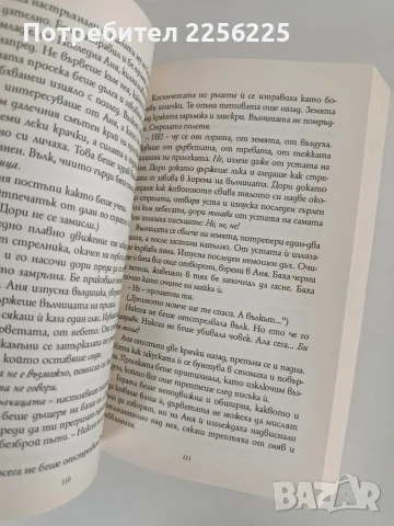 Синът на вещицата, снимка 5 - Художествена литература - 56725532
