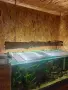 Ръчно изработен полилей , снимка 7