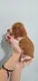 Дакел пиебалд piebald dachshund , снимка 5