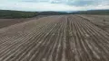 Парцел с морска панорама с.Близнаци , снимка 1