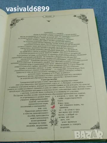 "Руска граматика с илюстрации", снимка 5 - Чуждоезиково обучение, речници - 56584429