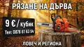 Рязане ба дърва, снимка 1
