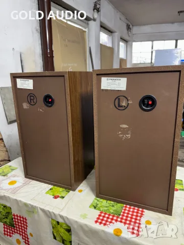 Pioneer S-310 тонколони, снимка 4 - Тонколони - 56746969