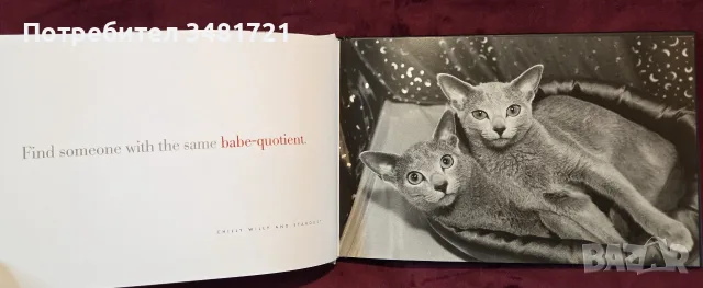 Cattitude Box Set, снимка 8 - Други - 56715704
