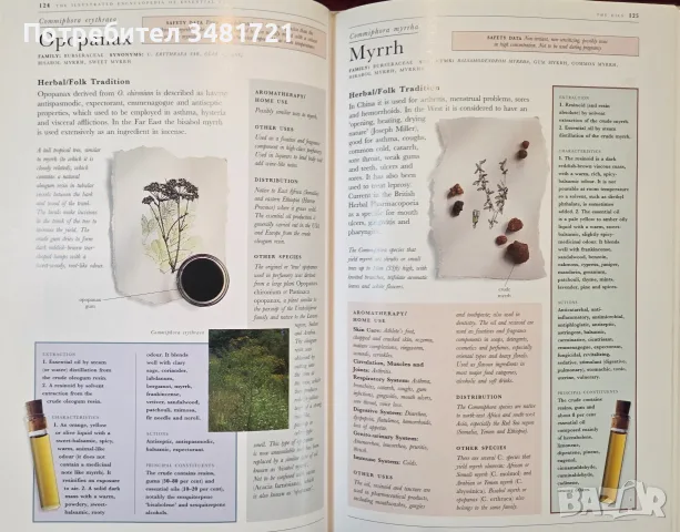 The Illustrated Encyclopedia of Essential Oils, снимка 9 - Здраве, медицина и спорт - 56715727