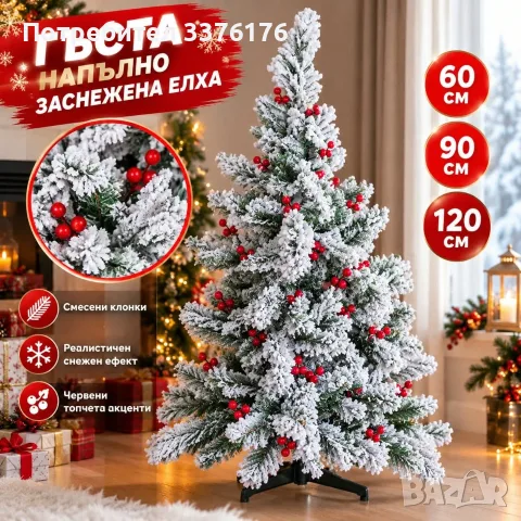 Заснежена елха с червени клонки