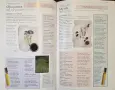 The Illustrated Encyclopedia of Essential Oils, снимка 9
