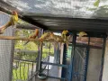 По договаряне! Розели, снимка 11