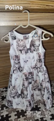 Лот рокля , клинче и блузка с котенца Н&М