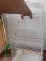 Клетка за папагал, снимка 3