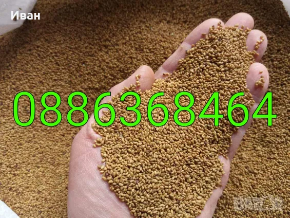 Продава люцерново семе (семе люцерна)
Сорт "Плевен 6".
Цена 5 евро