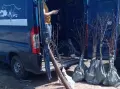 Овощен Разсадник - 10plus1, снимка 3