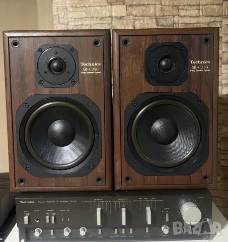 Technics SB-C250, снимка 2 - Тонколони - 56728912