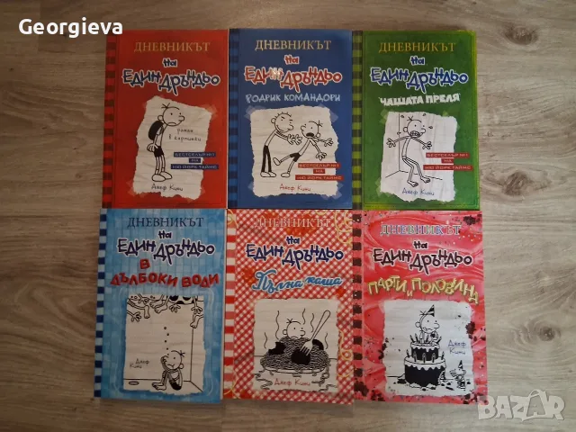 Дневникът на един дръндьо