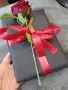 Любовен Роман ,,Да обичаш Кромуел,,, снимка 4