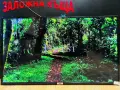 SMART TV TCL 43P631 40 Инча, снимка 1