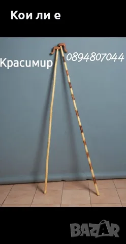 Гега,Гега традиционна българска Гега 