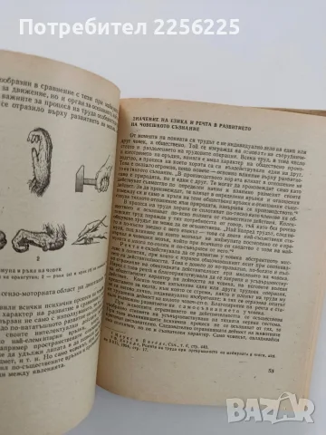 Спортна психология, снимка 10 - Специализирана литература - 56677962