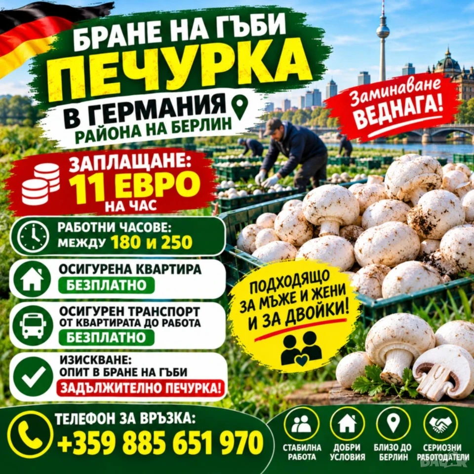 Бране на Гъби с опит за Германия !, снимка 1