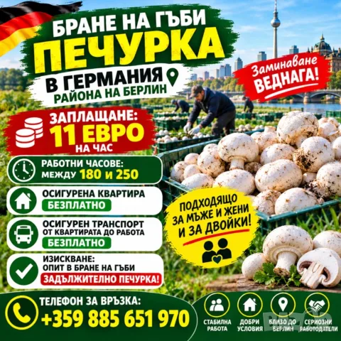 Бране на Гъби с опит за Германия !