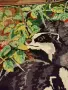 Завършен английски гоблен Язовци , снимка 2