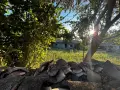 продавам имот село Ивански  , снимка 4