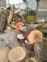 рязане на дърва Луковит , снимка 8