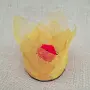 Фенер със скелетни листа, снимка 2