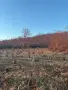 Земеделска земя , снимка 2