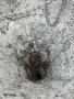Kюбел за бетон 500л., снимка 3
