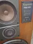 Руски тонколони Корвет 75АС 001, снимка 10