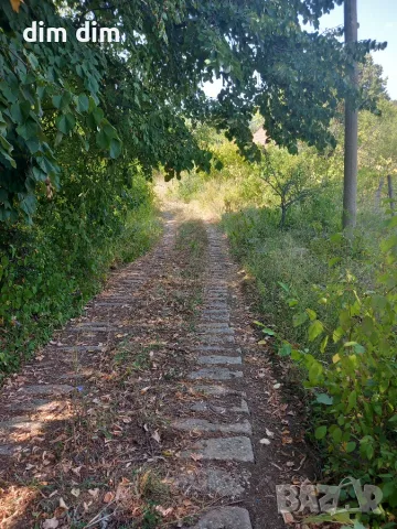 Къща с голям двор. Врачански лозя., снимка 13 - Къщи - 56647812