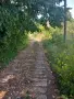 Къща с голям двор. Врачански лозя., снимка 13
