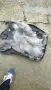Кора двигател Mazda 6 2.0 D, снимка 2