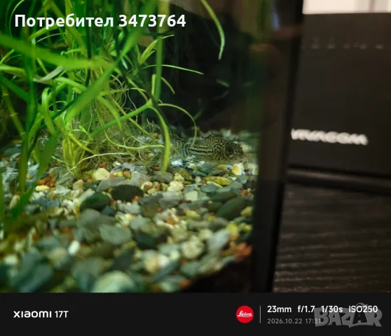 Аквариум с риби 60 и стойка, снимка 5 - Рибки - 56614424