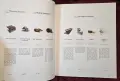 Leonardo's Machines. Secrets and Inventions in the Da Vinci Codices, снимка 9